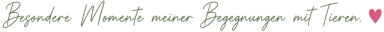 Handgeschriebener Schriftzug „Besondere Momente meiner Begegnungen mit Tieren.“ in olivgrüner, natürlicher Schrift mit rosa Herzsymbol.